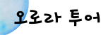 logo icon